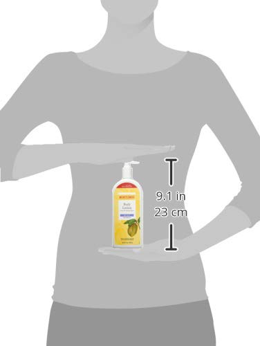 Burt's Bees Butter Body Lotion for Dry Skin with Cocoa & Cupuau, 12 Oz (Package May Vary) (Pack of 4)