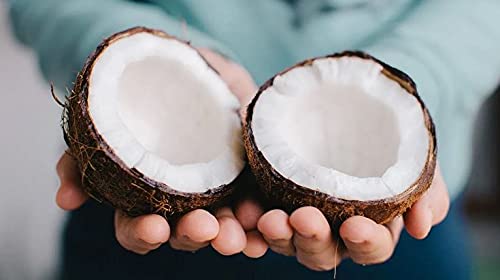 Fractionated Coconut Oil - Carrier Oil, Undiluted, Non-GMO, from Coconut Fruit not Palm - 32 oz - C8 C10, Natural, MCT, Carrier, Vegan for Skin, Hair, Nails, Body - Packaging May Vary