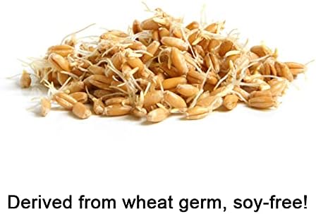 cocojojo Vitamin E Oil for Skin, Organic Vitamin E Oil for Hair, Face, Liquid Vitamin E, Vitamin E Body Oil, 100% Pure Natural Cold Pressed Unrefined, Moisturizes & Nourishes, Non GMO - 2 Oz