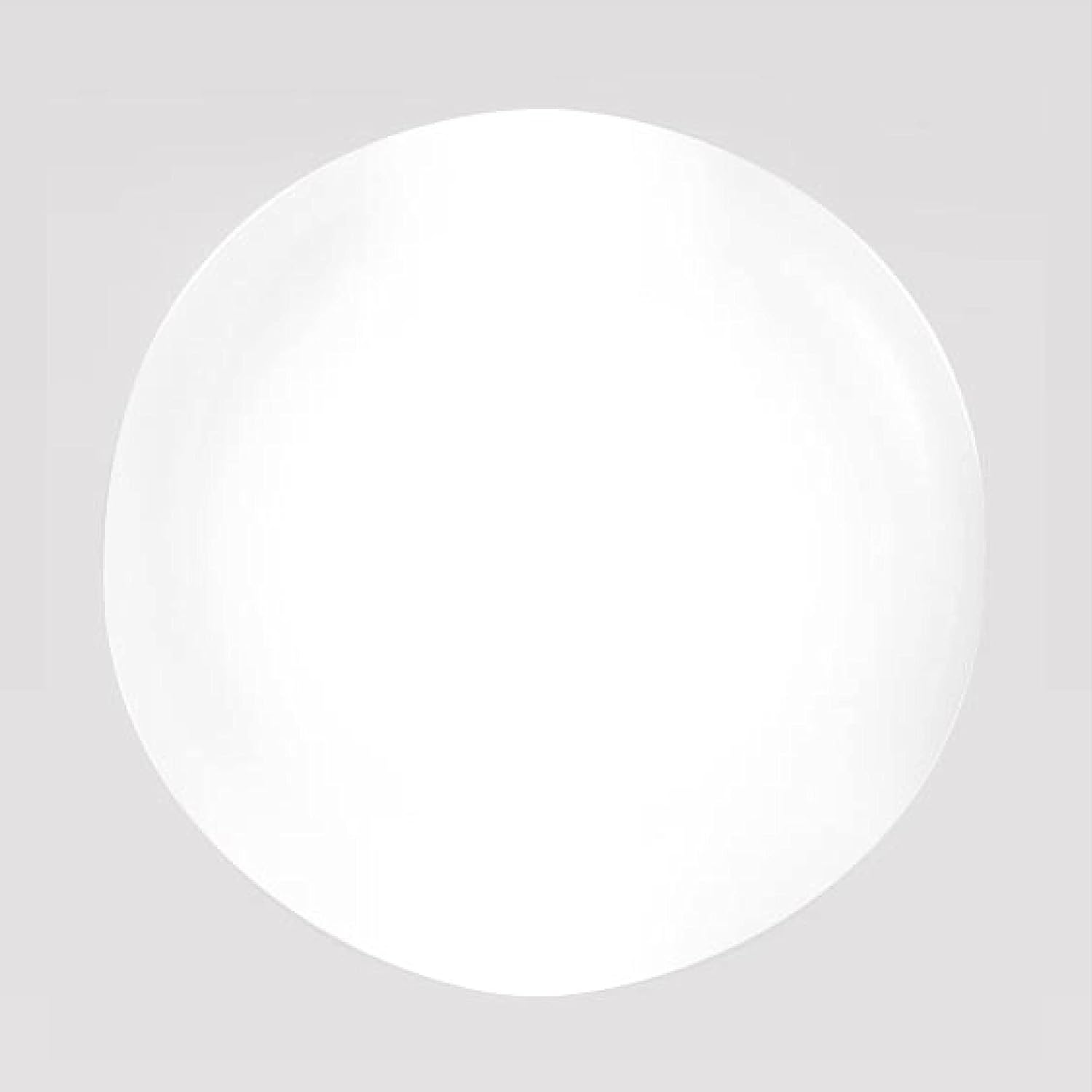 Young Nails Acrylic Core Powder - Self-Leveling Acrylic Nail Powder, Clear Nude Pink White Acrylic Powder for Nail Extenstion, Professional Grade, Superior Adhesion, Color - White, 85g