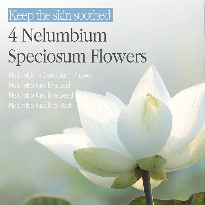 Bouquet Garni Body Lotion White Musk Fragrance - Long-lasting Moisture & Fragrance, Non Sticky Texture (Containing Shea Butter Rich in Vitamin A, C, E) - 17.6 oz