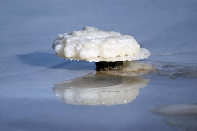 Dead Sea Salt – Dead Sea Salts for Soaking, Mineral Salt for Bath, Spa, Shower – Pure and Natural Bath Salt for Foot Soak, More Minerals Then Epsom Salt, Fine Salt Mined from Dead Sea