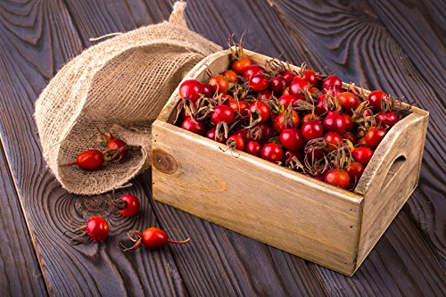 US Organic Rosehip Seed Oil, USDA Certified Organic, Cold Pressed, Virgin Organic, Amber Glass Bottle and Glass Eyedropper for Easy Application - 2 oz (56 ml)