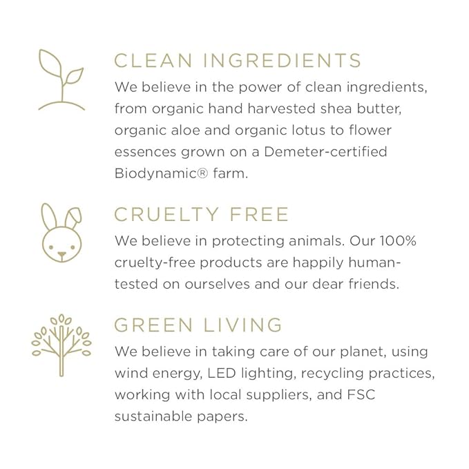 Zents Concreta Firming Repair Balm & Solid Parfum (Anjou Fragrance) | Moisturizing Shea Butter & Coconut Oil for Skin | 1.25 fl oz