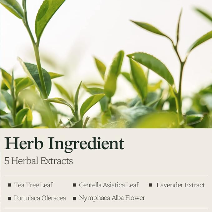 Bouquet Garni NARD Body Lotion Lavender Musk - Moisturizing, Calming, Nourishing for Dry Skin (Containing Tea Tree Extract, Centella Asiatica, and Shea Butter) - 16.9 oz