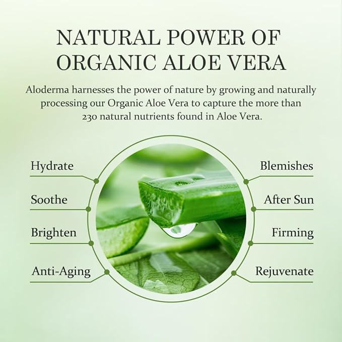 Aloderma 71% Organic Aloe Vera Hydrating Face Moisturizer for Soft and Nourished Skin - Light and Oil-Free Aloe Vera Moisturizer with Hyaluronic Acid for Soothing Hydration - Face Lotion, 3.5oz