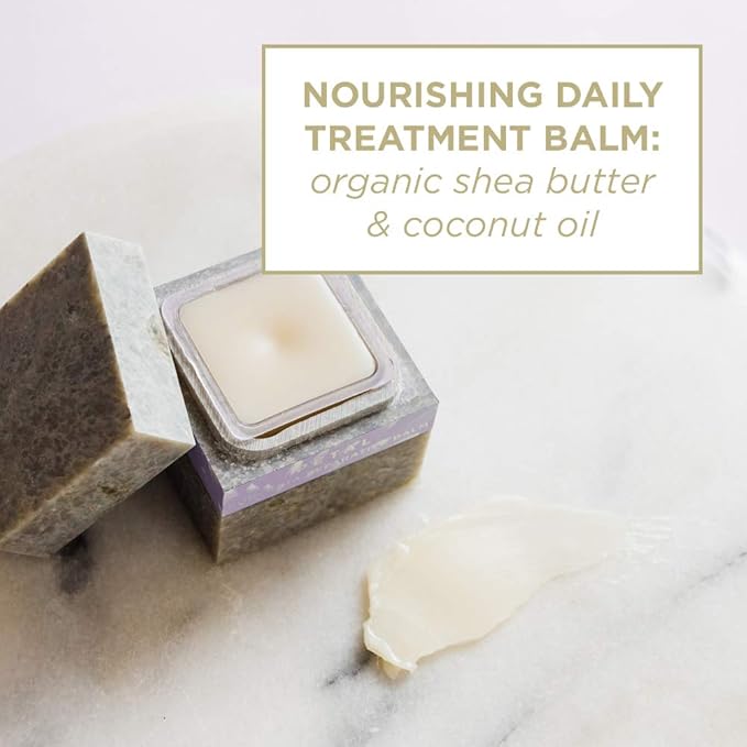 Zents Concreta Firming Repair Balm & Solid Parfum (Fragrance-Free) | Moisturizing Shea Butter & Coconut Oil for Skin | 1.25 fl oz