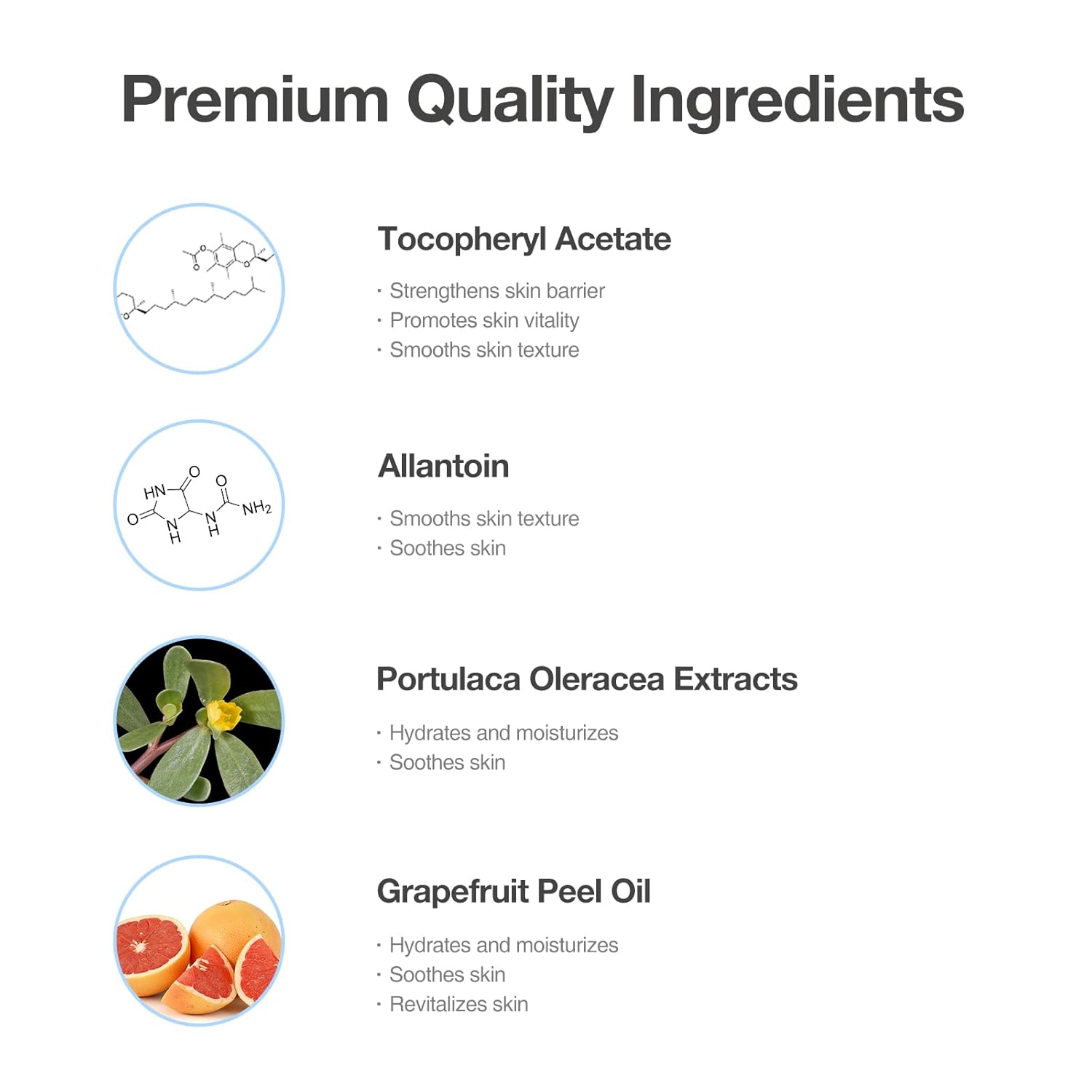 Vitamin E Daily Moisturizer – Antioxidant Cream with Vitamin E with Centella Extract, Hydrating & Balancing Lotion for Dry, Oily & Acne-Prone Skin 16.9 fl.oz (500ml)