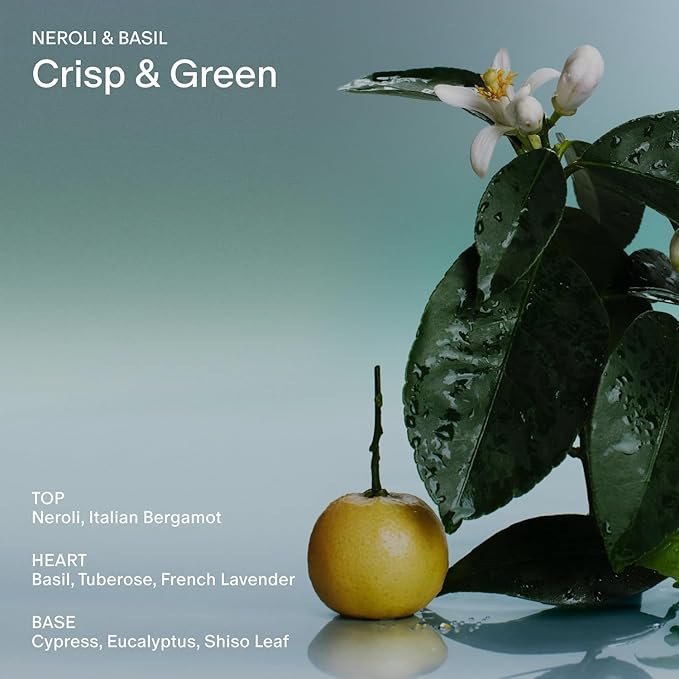 Salt & Stone Body Lotion for Women & Men| Scented Daily Body Lotion | Hydrates, Nourishes & Softens Skin | Restores Dry Skin | Fast-Absorbing | Cruelty-Free & Vegan (450 ml) (Neroli & Basil)