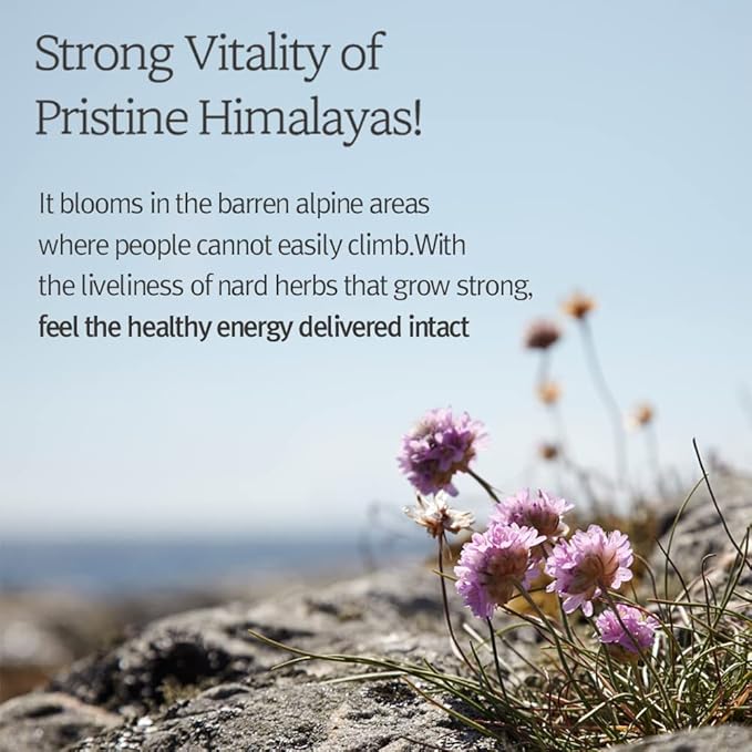 Bouquet Garni NARD Body Lotion Lavender Musk - Moisturizing, Calming, Nourishing for Dry Skin (Containing Tea Tree Extract, Centella Asiatica, and Shea Butter) - 16.9 oz