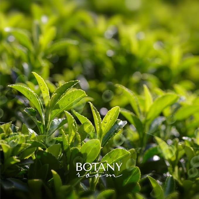 Unlock Age-Defying Beauty Retinol Serum: A Fusion of Science and Nature for Radiant Transformation