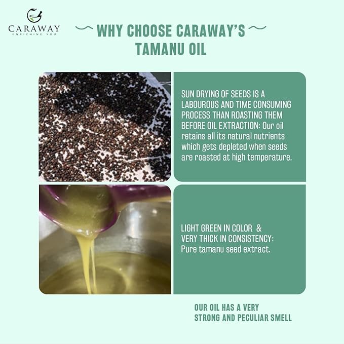 CARAWAY Tamanu Oil Organic for Skin - Cold Pressed - Natural Moisturizer for Dry Skin, Face and Hair - Helps Treat Hyperpigmentation, Acne scars, Eczema, Psoriasis- 1.7 Fl oz - 50 ml