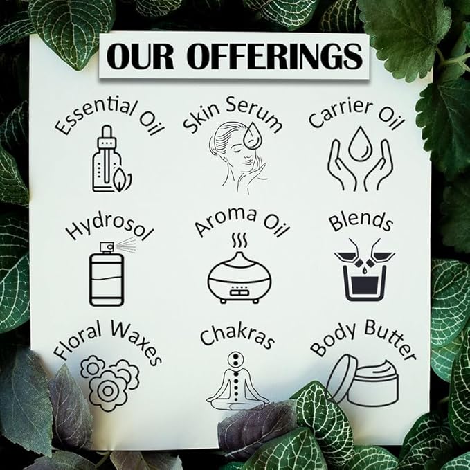 Pure Cananga Java Essential Oil (Cananga odorata) Steam Distilled 10ml (0.33 oz)