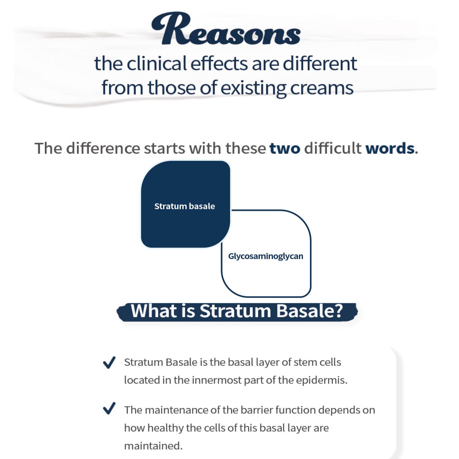 [DERM·ALL MATRIX] Stratum Basale Restoring Cream | Strengthening the skin barrier | a genuine moisturizing care | quick, gentle, and deep moisturizing (1.69 fl.oz)