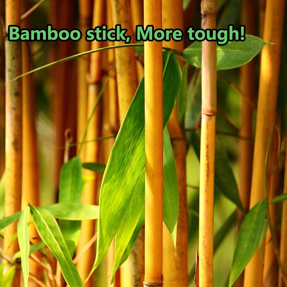 3600pcs Precision Tip Cotton Swabs for Makeup, Bamboo Sticks and Double Pointed