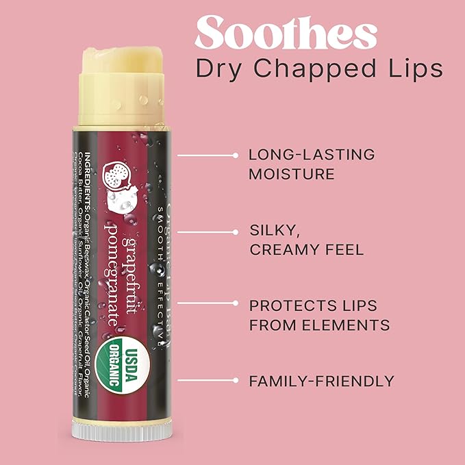 USDA Organic Lip Balm - USA Made with Natural Ingredients, 4 Pack Multi Flavor Lips Moisturizer, Moisturizing Lip Care, Beauty Gifts & Small Birthday Gifts, Moisturizer Chapstick Care for Dry Lips