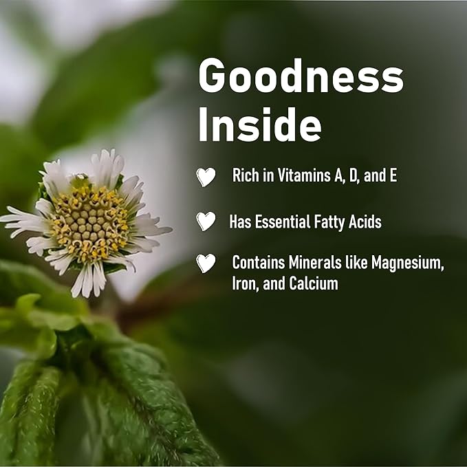 minature Bhringraj Powder (Eclipta Prostrata) | False daisy| Natural and Pure Dry leaves| Ideal for Oil & Pack | Improves Texture |Control Hair Pigmentation| 100g(4 oz)