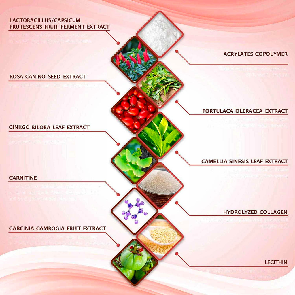 All Natural Moisturizing Body Applicator – Easy to Use Body Wrap -Anti Cellulite Solution- Firming Toning Tummy Wrap (6 WRAPS)