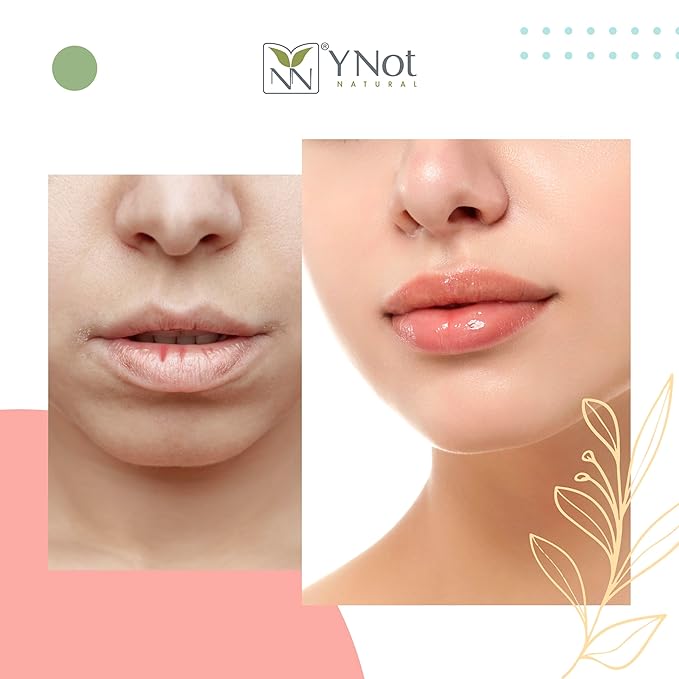 YNN Emu Oil Moisturizing Lip Balm with Extreme SPF50+ Sun Protection - 4-Hour Water Resistant, Fortified with Vitamin E, Amino Acids & Omega 3, 6 & 9 - Y-Not Natural, 15g Stick - 2 Pack