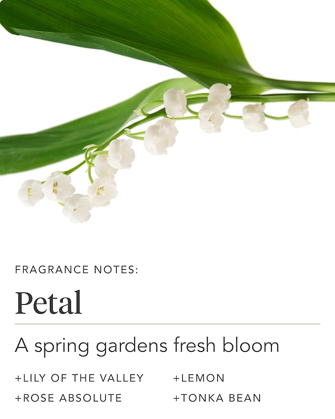 Zents Age-Defying Probiotic Body & Hand Lotion (Petal) | Moisturizing Lotion with Hyaluronic Acid & Organic Shea Butter | Nourishes & Hydrates Skin | 6.4 fl oz