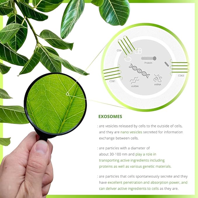 Exosome Serum, Moisturizing&Regenerating Serum for Face, Ginseng tree Exosome, Quick-absorbing, Vegan, All skin types, 1.35 Fl Oz