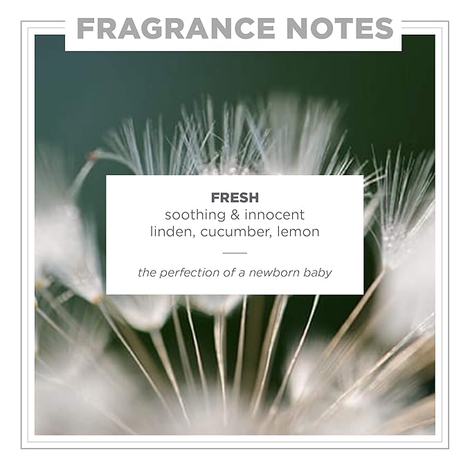 ZENTS Concreta Firming Repair Balm & Solid Parfum (Fresh Fragrance) | Moisturizing Shea Butter & Coconut Oil for Skin | 1.25 fl oz