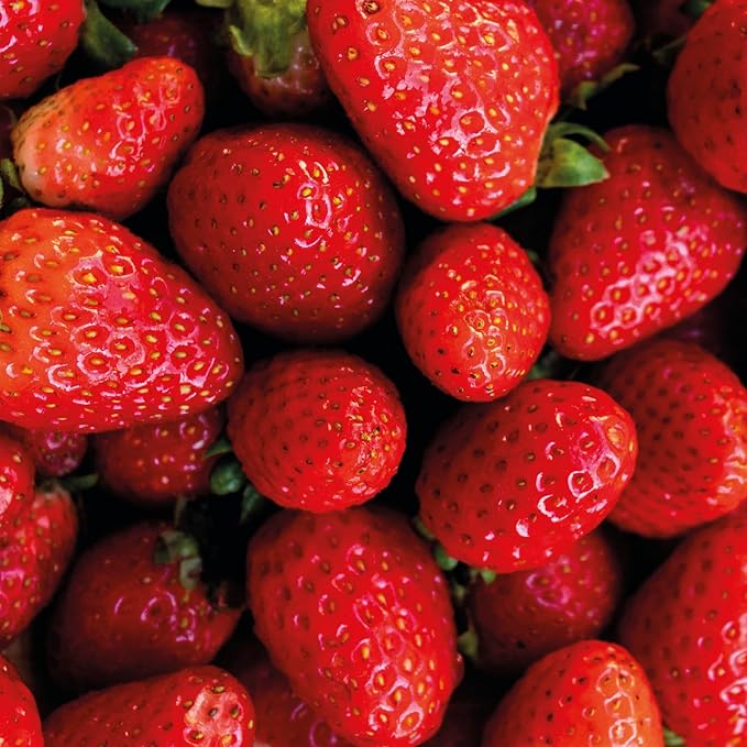 Nativa SPA by O Boticário, Ruby Strawberry Antioxidant Body Lotion, Brightening Vitamin C and Nourishment for Radiant Skin, 13.5 Ounce