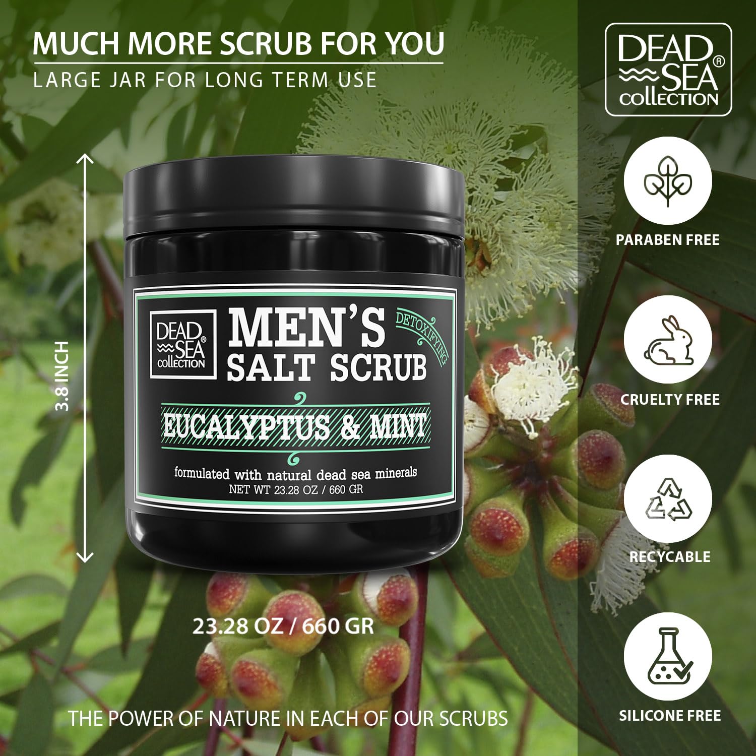 Salt Body Scrub Eucalyptus & Mint For Men– Moisturizes, Exfoliates & Nourishes Skin – Cleanses & Detoxifies with Dead Sea Minerals – Dead Sea Collection - 23.28 OZ