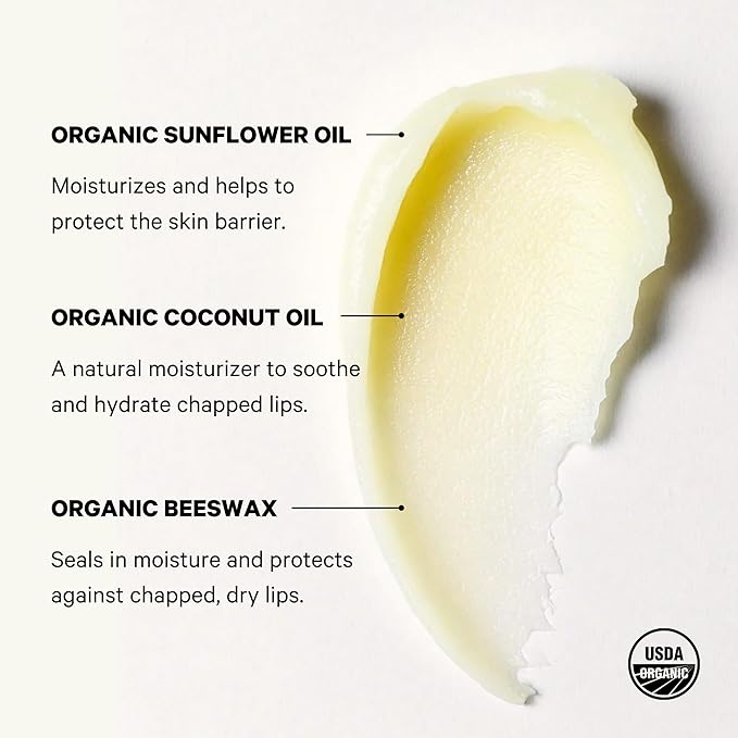 Space Camp Wellness Jumbo Lip Balm - Frosted Mint Organic Flavored Balm (2 Pack)