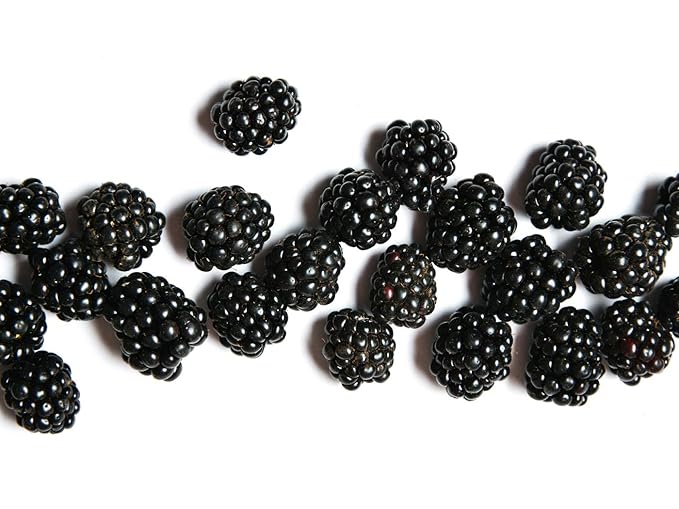 GIOVANNI 2chic Ultra-Repairing Hair Mask - Blackberry & Coconut Oil for Dry, Damaged & Processed Hair, Argan, Jojoba, Shea Butter & Keratin, Lauryl & Laureth Sulfate Free, Color Safe - 5 oz