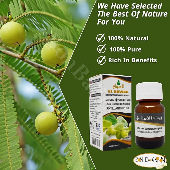 Elhawag Alamlag Phyllanthus Oil Pure & Natural Cold Pressed Al Hawaj El Hawag Concentrated & Crude Perfect Fresh It Has Many Uses for Food Hair Skin Body (1 Pack = 1 oz / 30 ml) زيت الاملج