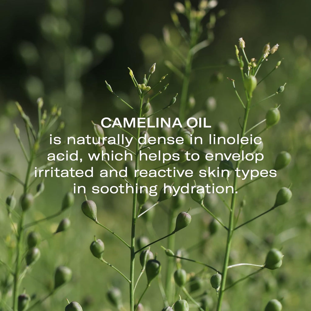 Odacité Anti Aging Serum Concentrate with Camelina + Chamomile, For Sensitive Skin Glow - Lightweight and Hydrating Facial Oil for Redness, Sensitivity & Irritation - 0.17 fl. oz