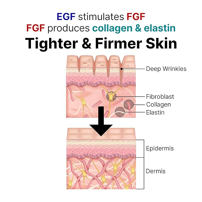 LANBELLE Ultra Lifting EGF FGF 10 ppm Ampoule Serum w/Centella Asiatica Hyaluronic Acids | Improves Skin Balance Elasticity Reduces Fine Lines Blemish Spots Hydrating Korean Skincare