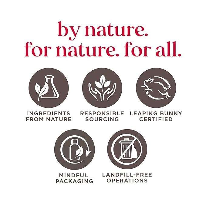 BURTS BEES Kissable Color Lip Shimmer Holiday Gift, 1 EA