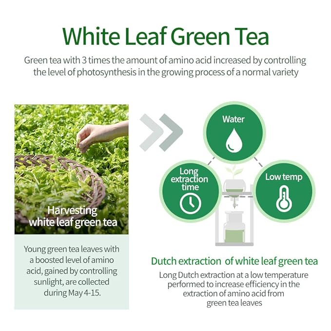 AMOS PROFESSIONAL The Green Tea Pack 8.45 oz (250ml) | Nourishing and Moisturizing Deep Conditioner for Hair Growth | Korean Hair Salon Brand