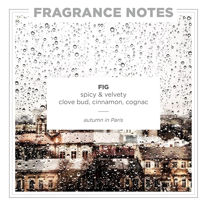 Zents Concreta Firming Repair Balm & Solid Parfum (Fig Fragrance) | Moisturizing Shea Butter & Coconut Oil for Skin | 1.25 fl oz