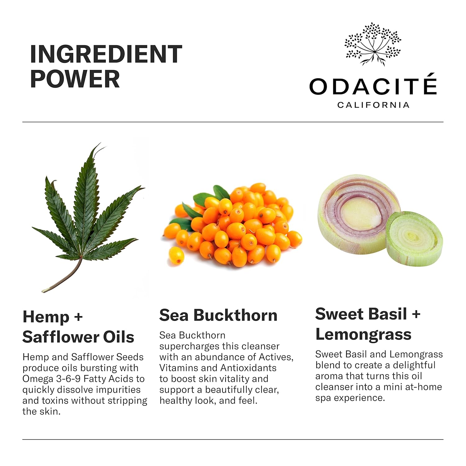ODACITE MONTANA HARVEST Hemp + Sea Buckthorn OMEGA OIL CLEANSER