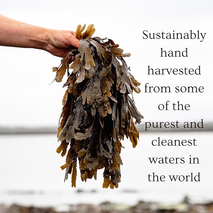 Ishga Marine Cleansing Balm | Natural & Organic Skincare | Scottish Seaweed | Bergamot, Rose Geranium, Shea Butter | Vegan, Cruelty-Free | 3.38fl oz (100ml)