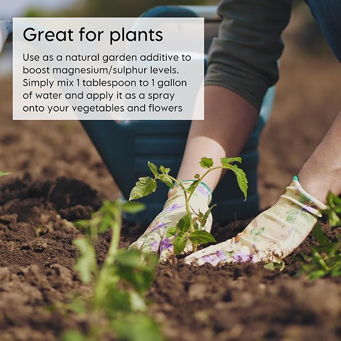 Epsom Bath Salt, Magnesium Sulfate USP, Unscented, Fine Grain, 50 Pound Bag (Packaging May Vary)