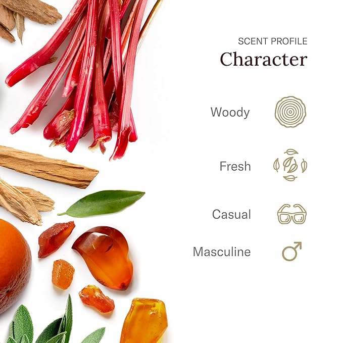 Stetson Spirit - Deep Clean Face & Beard Wash - 3 Pack