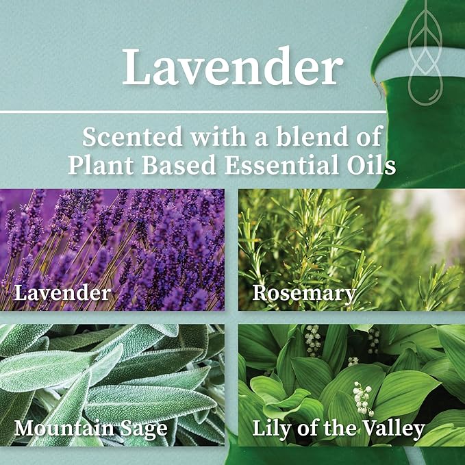 Hemlock Park Lavender Coconut Milk Bath Soak | Organic Coconut Milk, Botanicals, Dead Sea, Epsom, and Himalayan Pink Mineral Salts | 9.5 oz Jar