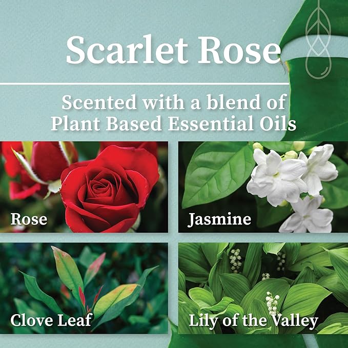 Hemlock Park Scarlet Rose Coconut Milk Bath Soak | Organic Coconut Milk, Botanicals, Dead Sea, Epsom, and Himalayan Pink Mineral Salts | 9.5 oz Jar