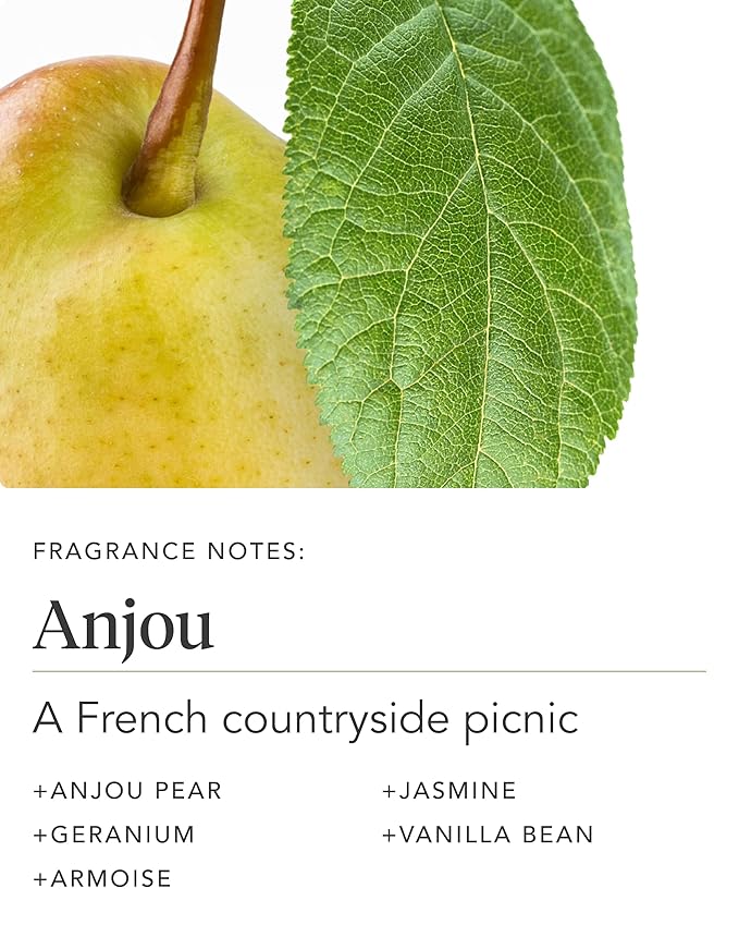 Zents Age-Defying Probiotic Body & Hand Lotion (Anjou) | Moisturizing Lotion with Hyaluronic Acid & Organic Shea Butter | Nourishes & Hydrates Skin | 6.4 fl oz