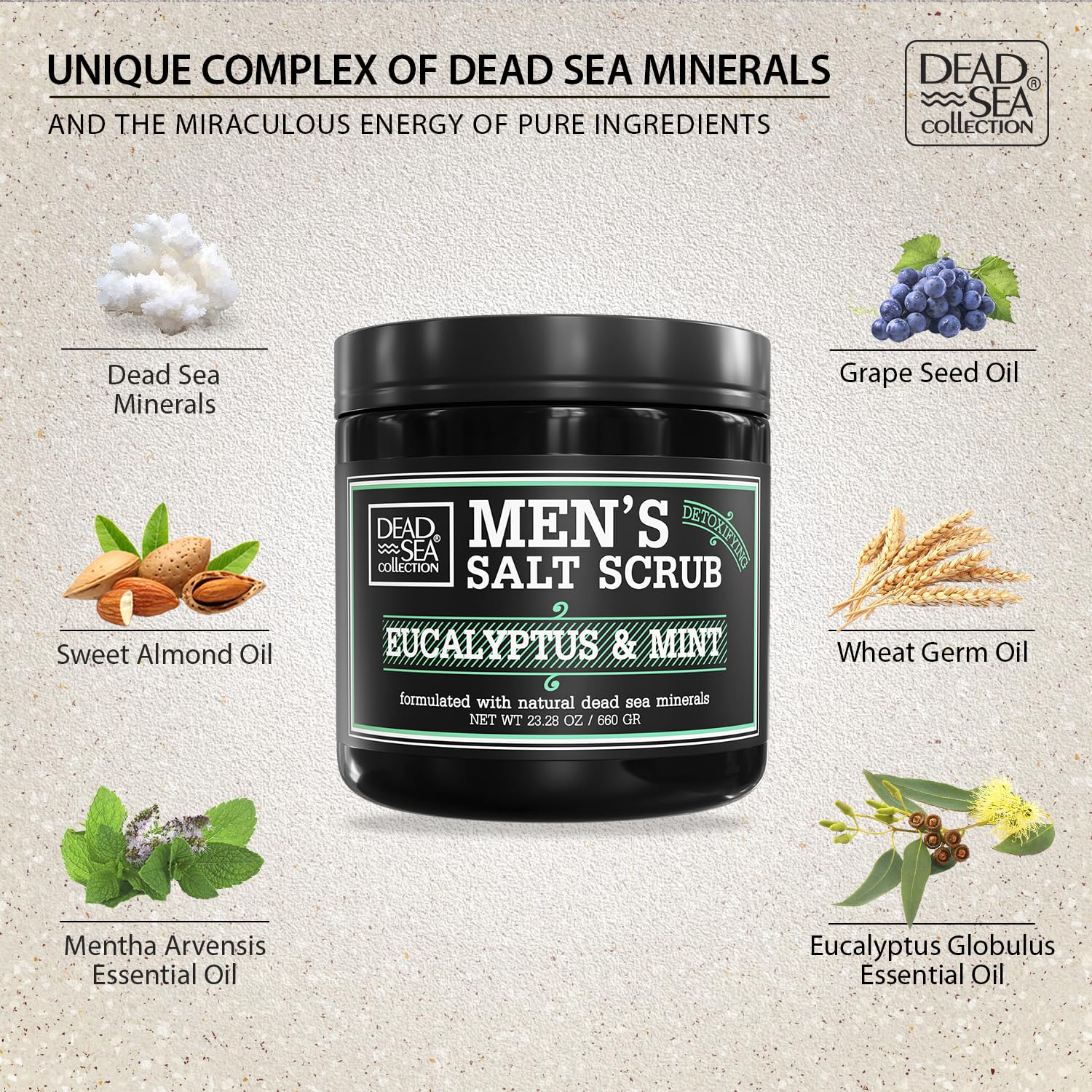 Salt Body Scrub Eucalyptus & Mint For Men– Moisturizes, Exfoliates & Nourishes Skin – Cleanses & Detoxifies with Dead Sea Minerals – Dead Sea Collection - 23.28 OZ