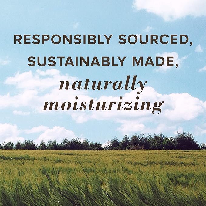 Burt's Bees Moisturizing Lip Balm, Wild Cherry, 0.15 Ounce