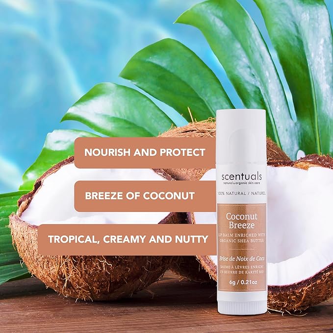 Lip Balm Set of 3, Made with Shea Butter, Cocoa Butter, Castor, Avocado & Jojoba oil, Beeswax, Vitamin E and Essential oil, Moisturizing Lip Care, Cruelty Free Hydration, 100% Natural (3 Pack)