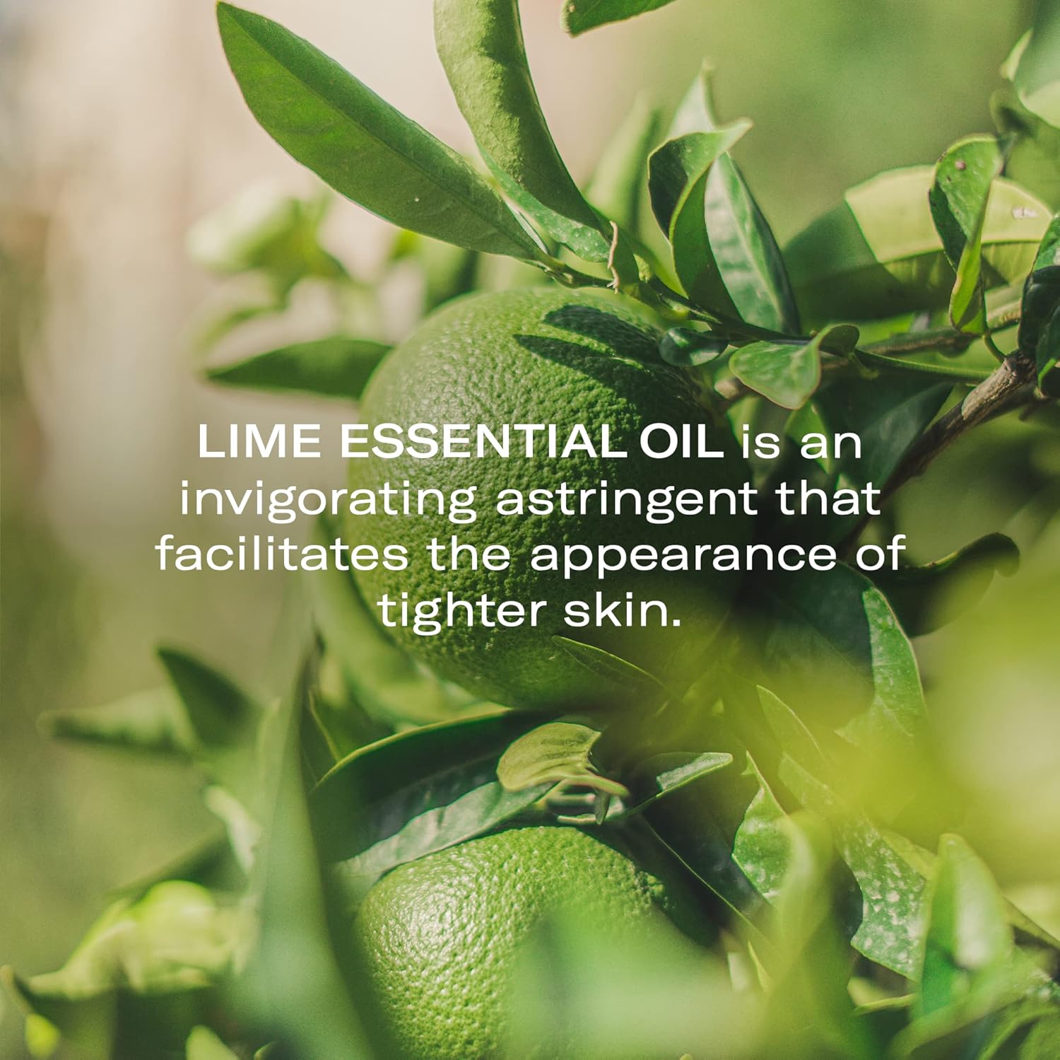 ODACITE Anti Aging Serum Concentrate with Buriti Oil, Vitamin C, Beta-Carotene - 0.17 fl. oz