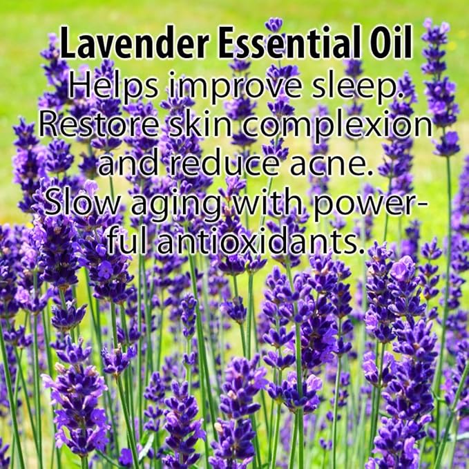 GLIMMER GODDESS Organic Vegan Whipped Coconut Oil & Vitamin E Body Butter With Lavender Lemon, Moisturizing, Anti-aging, Skin Repairing, 8 oz.