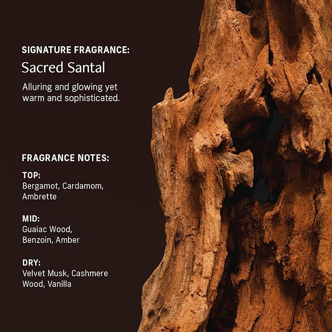 Vitamin C Body Oil for Women and Men. Moisturizing Sacred Santal & Body Wash Bundle