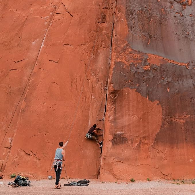 Badger Foot Balm, 100% Organic Foot Cream for Dry Cracked Heels and Feet, Fast Acting Foot Care for Women & Men, All-Natural Cracked Heel Treatment, 2 oz Tin, 2-Pack